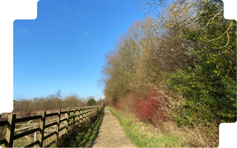 Narrow country path beside a wooden fence, with leafless branches and green shrubs under a clear blue sky.